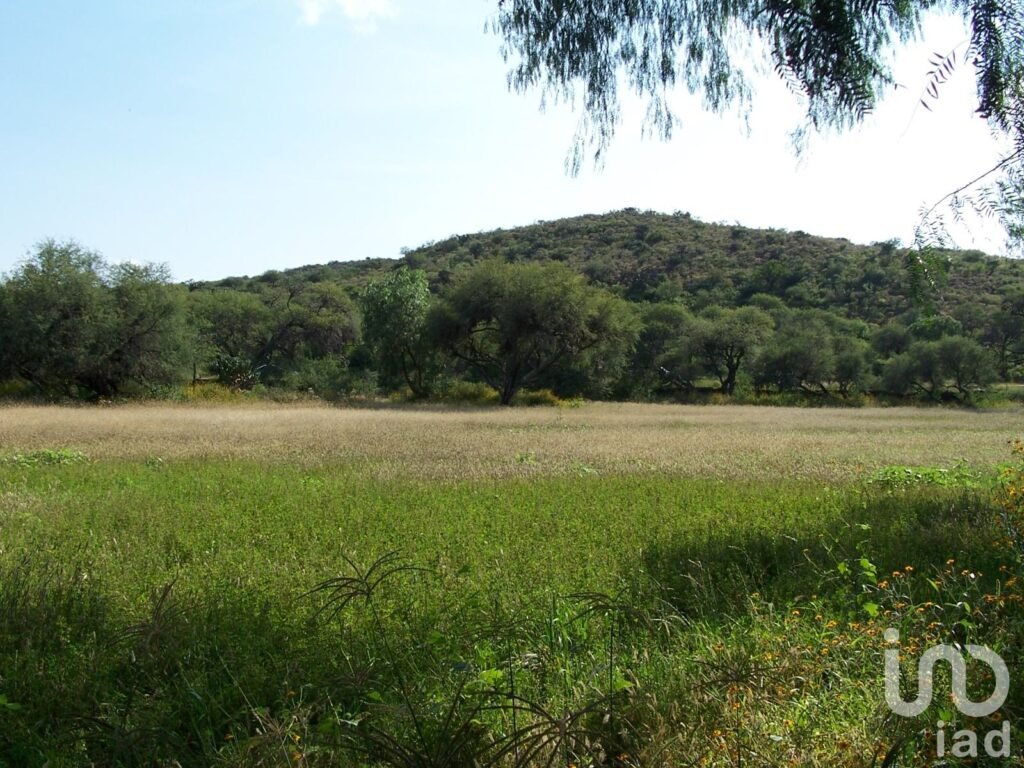 Terreno en Tierra Nueva a pie de carretera