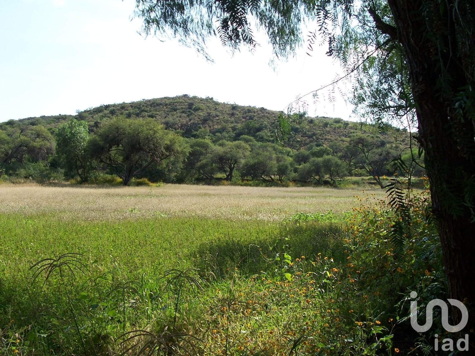 Terreno en Tierra Nueva a pie de carretera