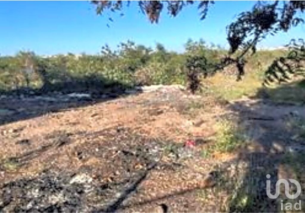 Terreno en Venta Pedregal del Humaya, Culiacán, Sinaloa
