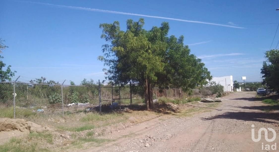 Terreno en Venta Pedregal del Humaya, Culiacán, Sinaloa