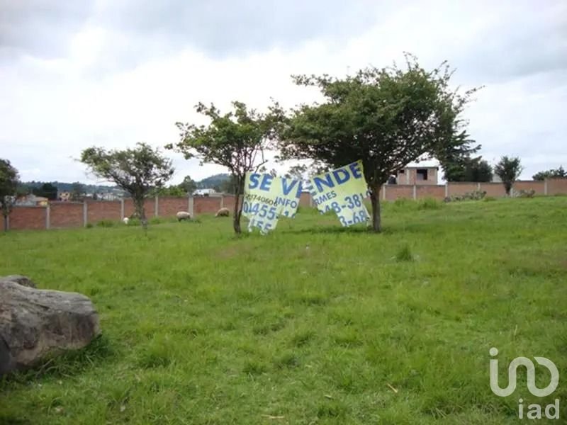Terreno en venta y renta en Almoloya de Juárez bardeado