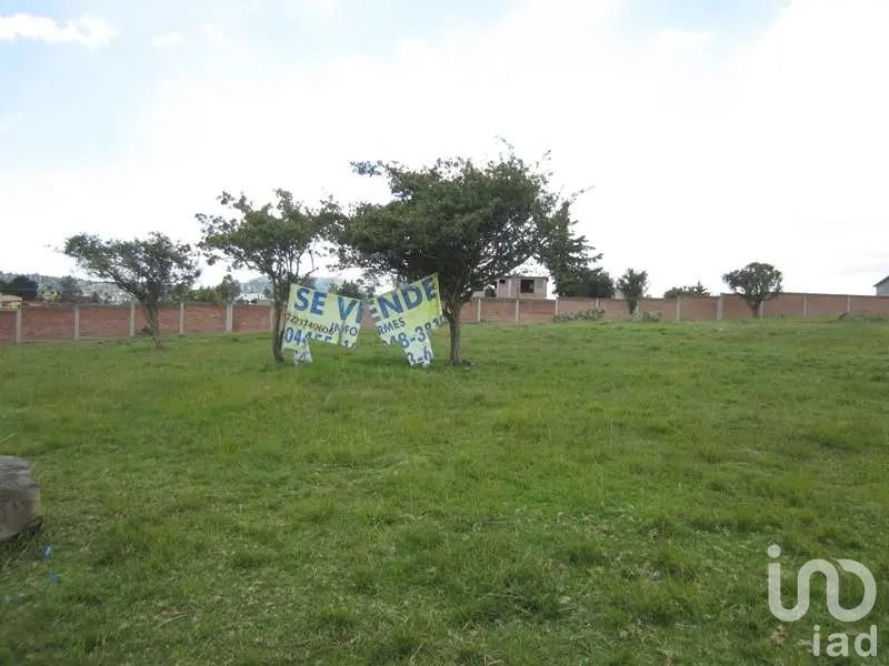 Terreno en venta y renta en Almoloya de Juárez bardeado
