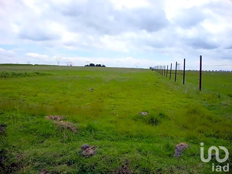 Terreno en Venta o Renta en Almoyola de Juárez