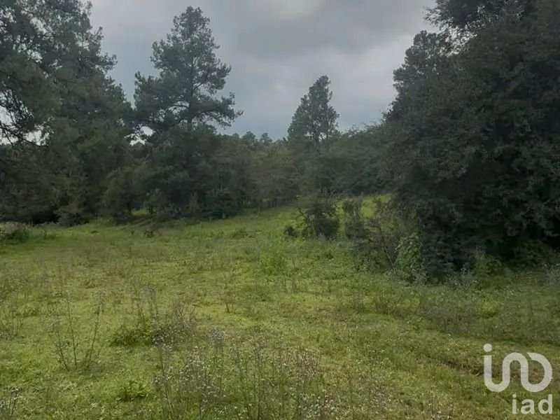 Venta Terreno de 6 hectáreas 3,020 m² (63,020 m²)