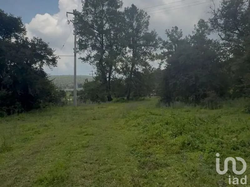 Venta Terreno de 6 hectáreas 3,020 m² (63,020 m²)