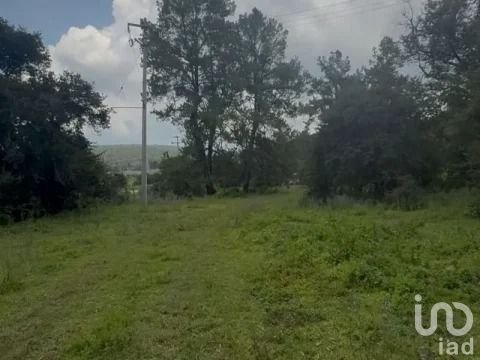 Venta Terreno de 6 hectáreas 3,020 m² (63,020 m²)