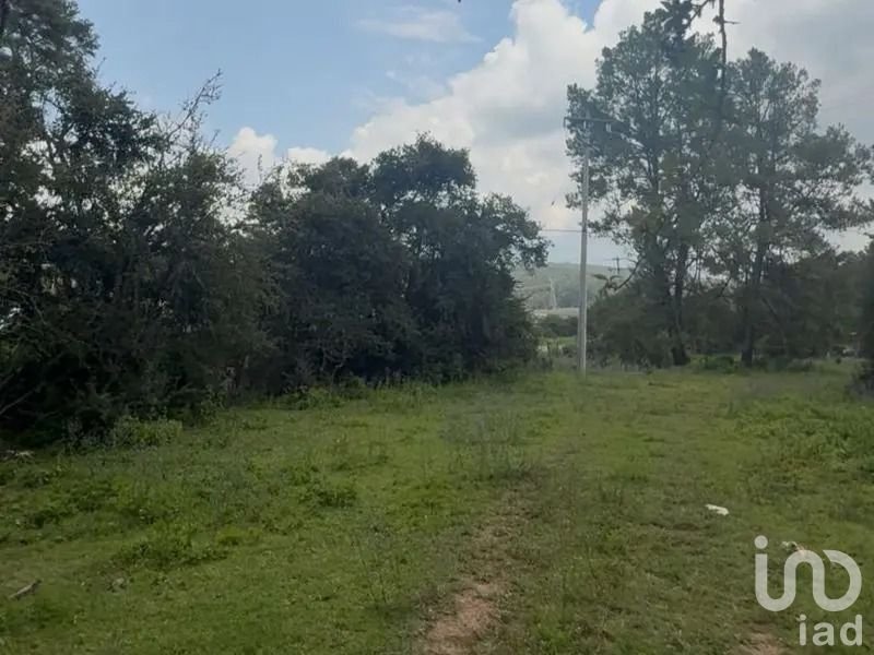 Venta Terreno de 6 hectáreas 3,020 m² (63,020 m²)