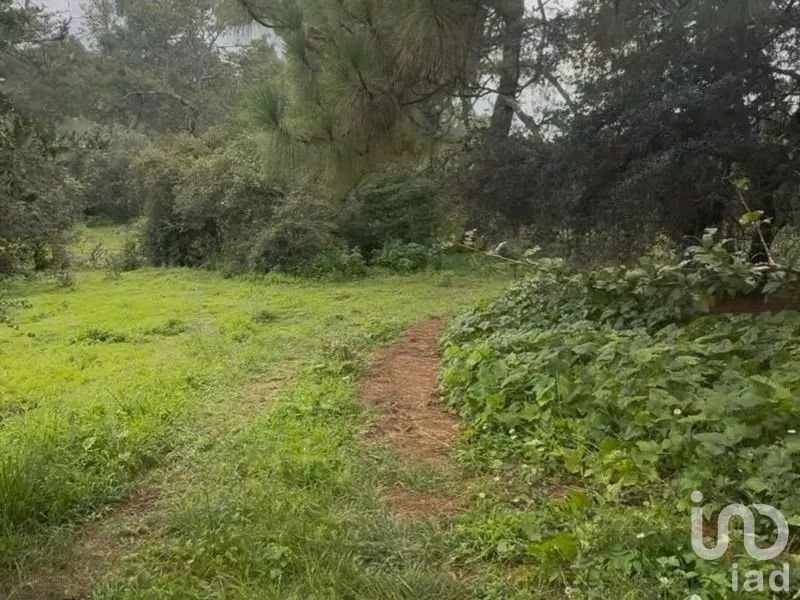 Venta Terreno de 6 hectáreas 3,020 m² (63,020 m²)