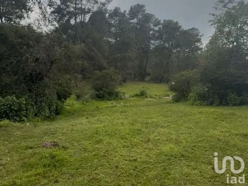 Venta Terreno de 6 hectáreas 3,020 m² (63,020 m²)