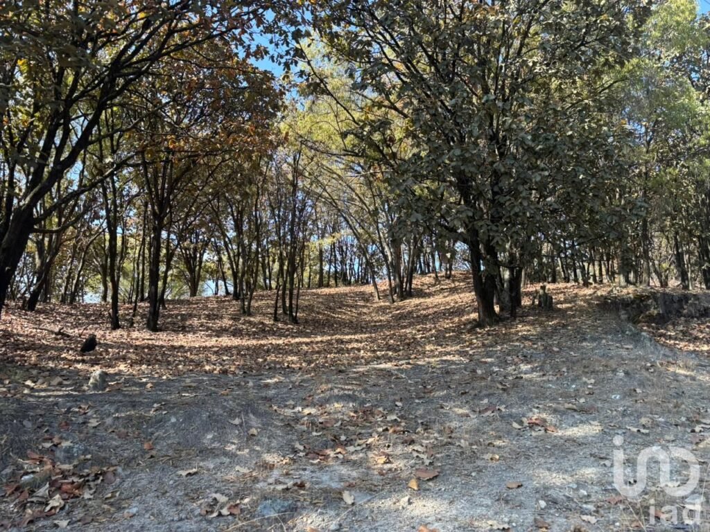 SE VENDE HECTAREA DENTRO DEL BOSQUE DE LA PRIMAVERA PROLONGACION MARIANO OTERO EN GUADALAJARA