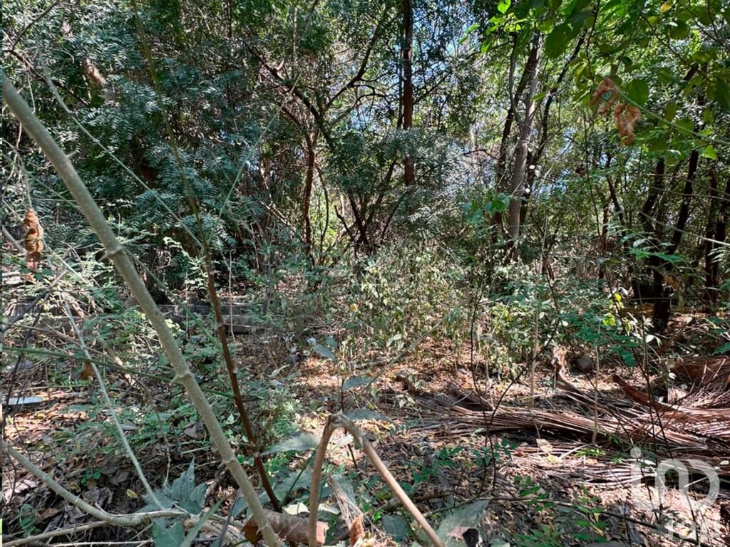 Terreno en venta en Manzanillo, por albercas de Chava Vargas.