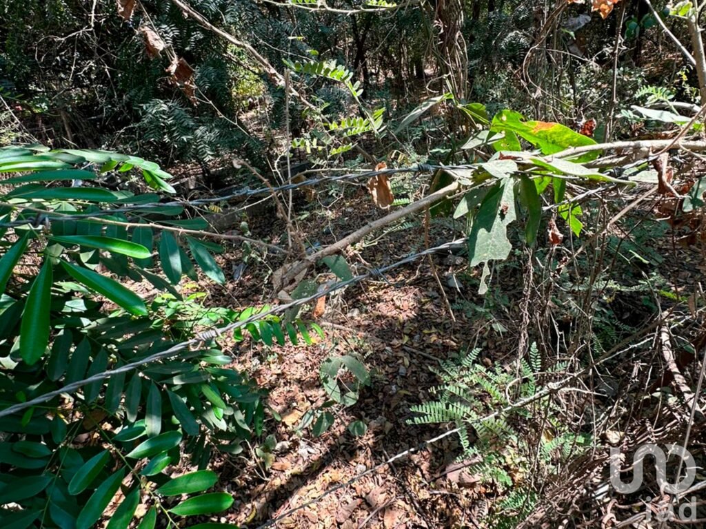 Terreno en venta en Manzanillo, por albercas de Chava Vargas.
