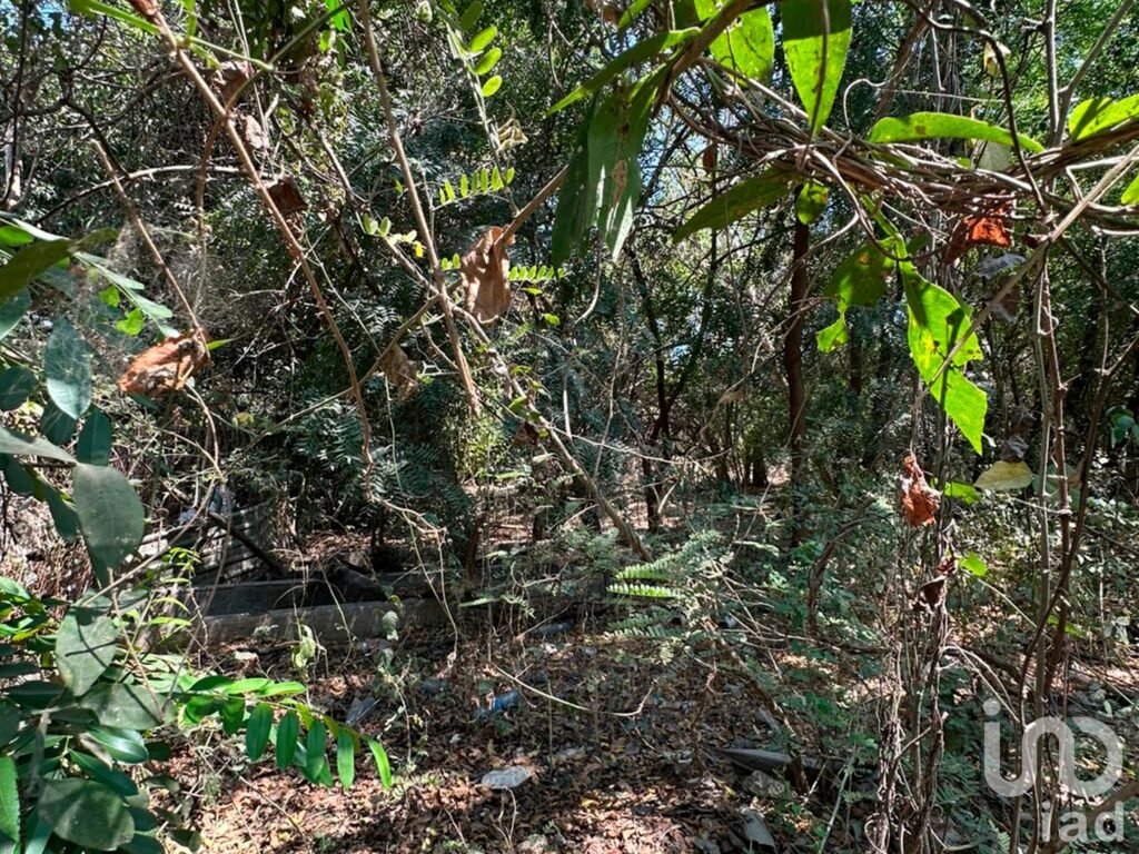 Terreno en venta en Manzanillo, por albercas de Chava Vargas.