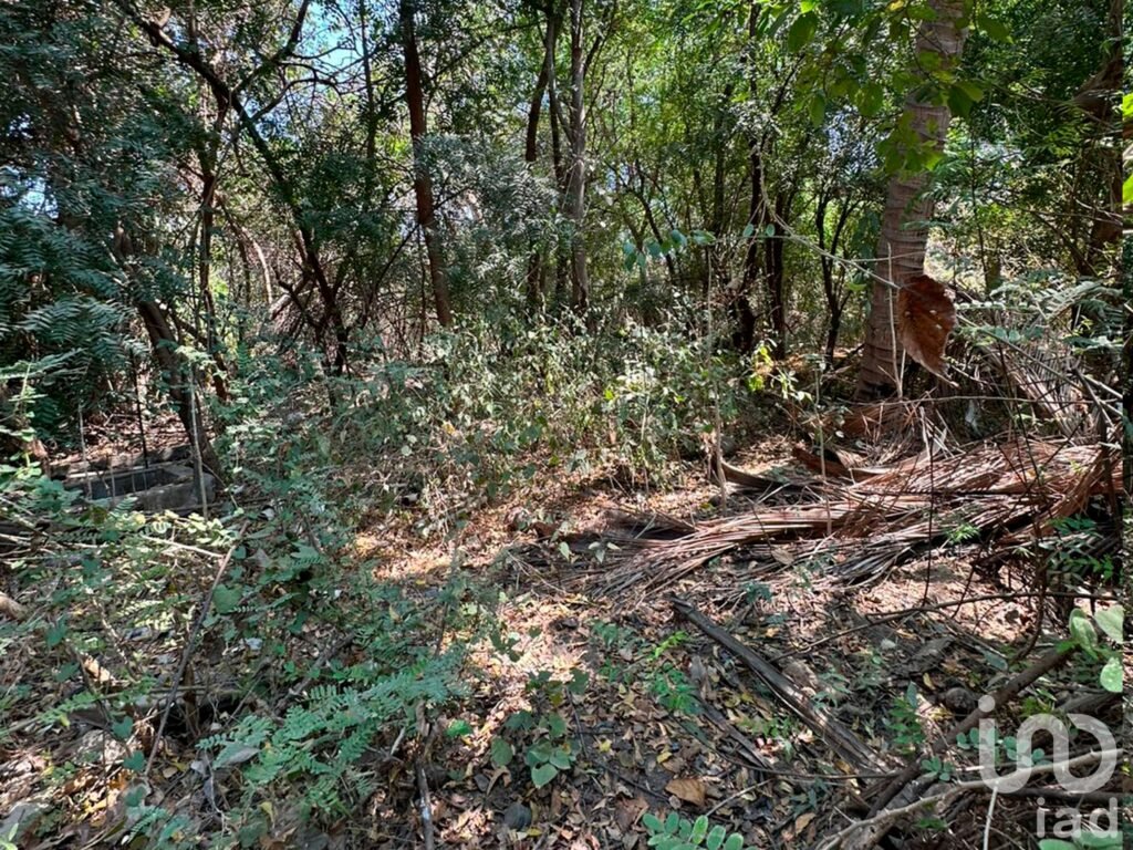 Terreno en venta en Manzanillo, por albercas de Chava Vargas.