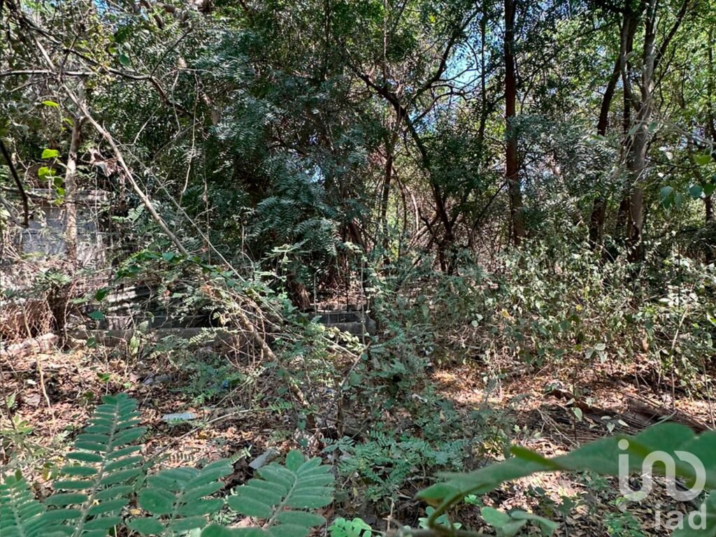 Terreno en venta en Manzanillo, por albercas de Chava Vargas.