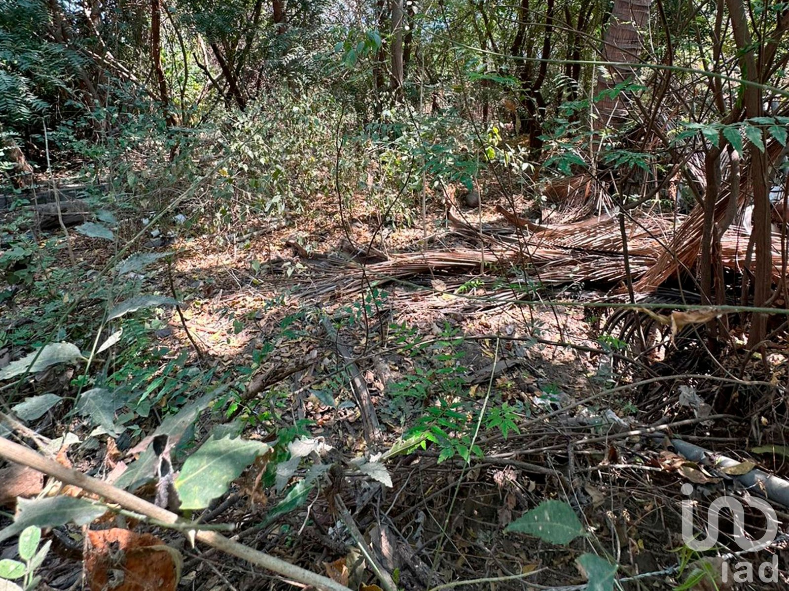 Terreno en venta en Manzanillo, por albercas de Chava Vargas. Terreno en venta en Manzanillo, por albercas de Chava Vargas.