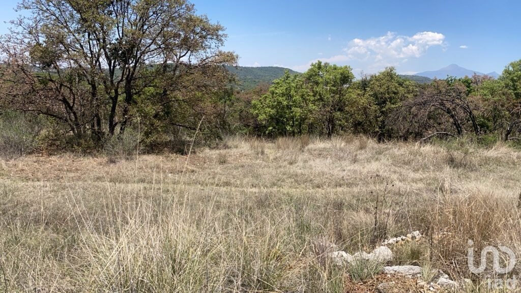 Venta de terreno Cavalls 3