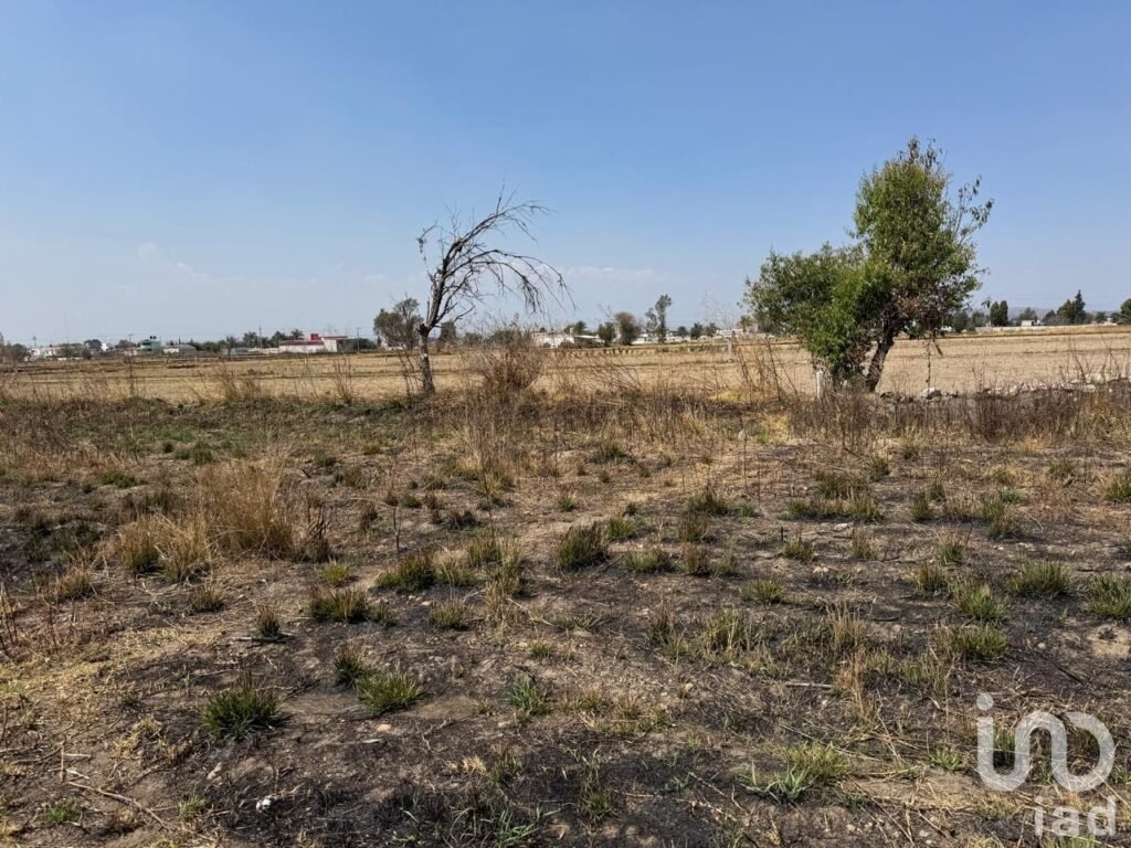 TERRENO EN VENTA EN SANTA CATARINA AYOMETLA TLAXCALA