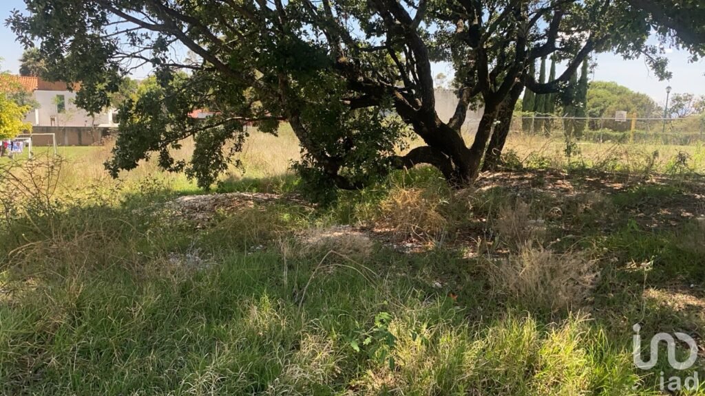 Venta de terreno en Cavalls Haras