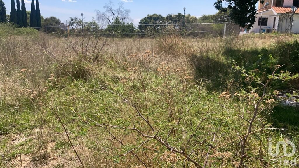Venta de terreno en Cavalls Haras
