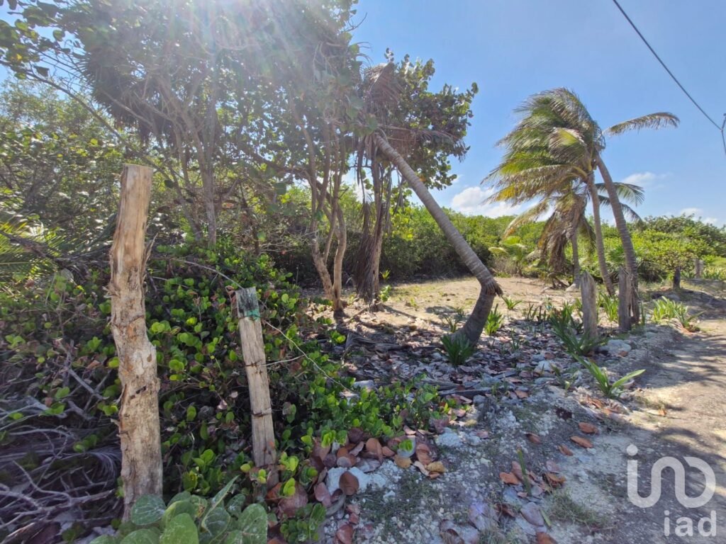 Terreno Beach Front en Venta Mahahual