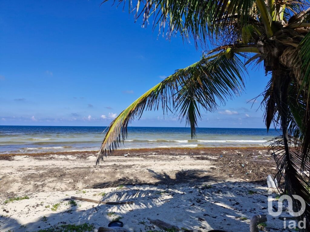 Terreno Beach Front en Venta Mahahual
