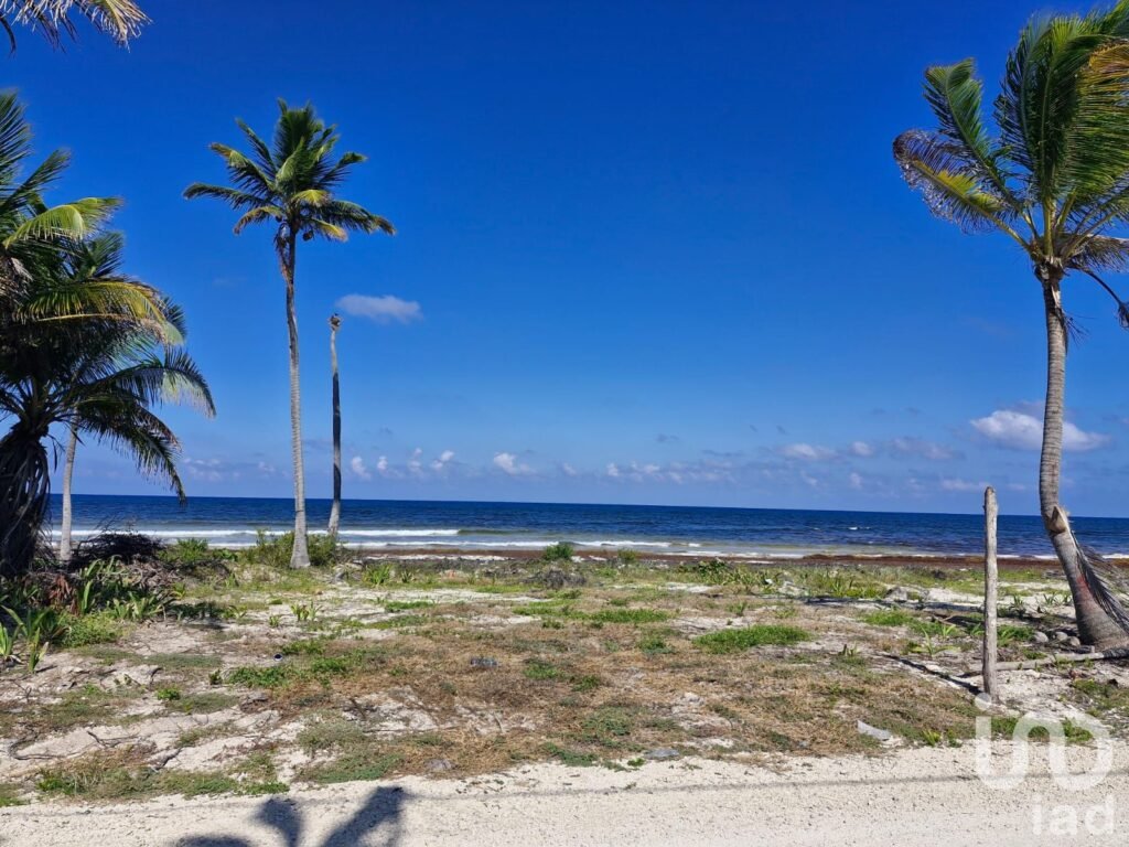 Terreno Beach Front en Venta Mahahual