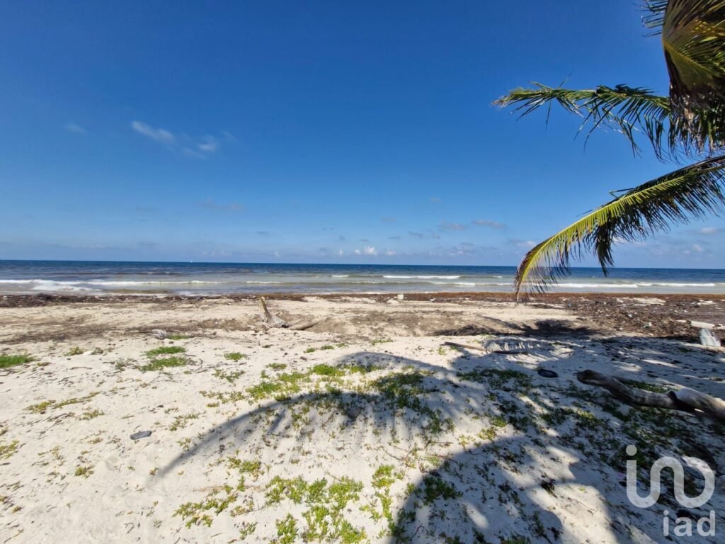 Terreno Beach Front en Venta Mahahual
