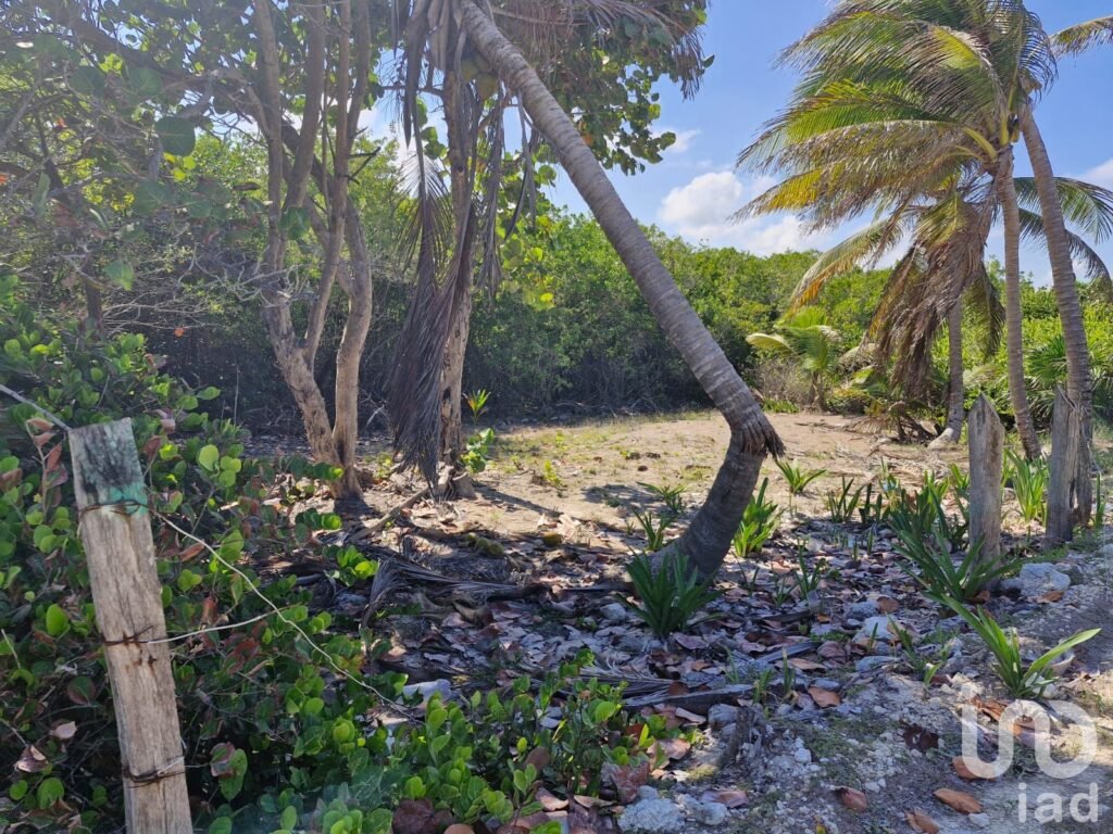 Terreno Beach Front en Venta Mahahual