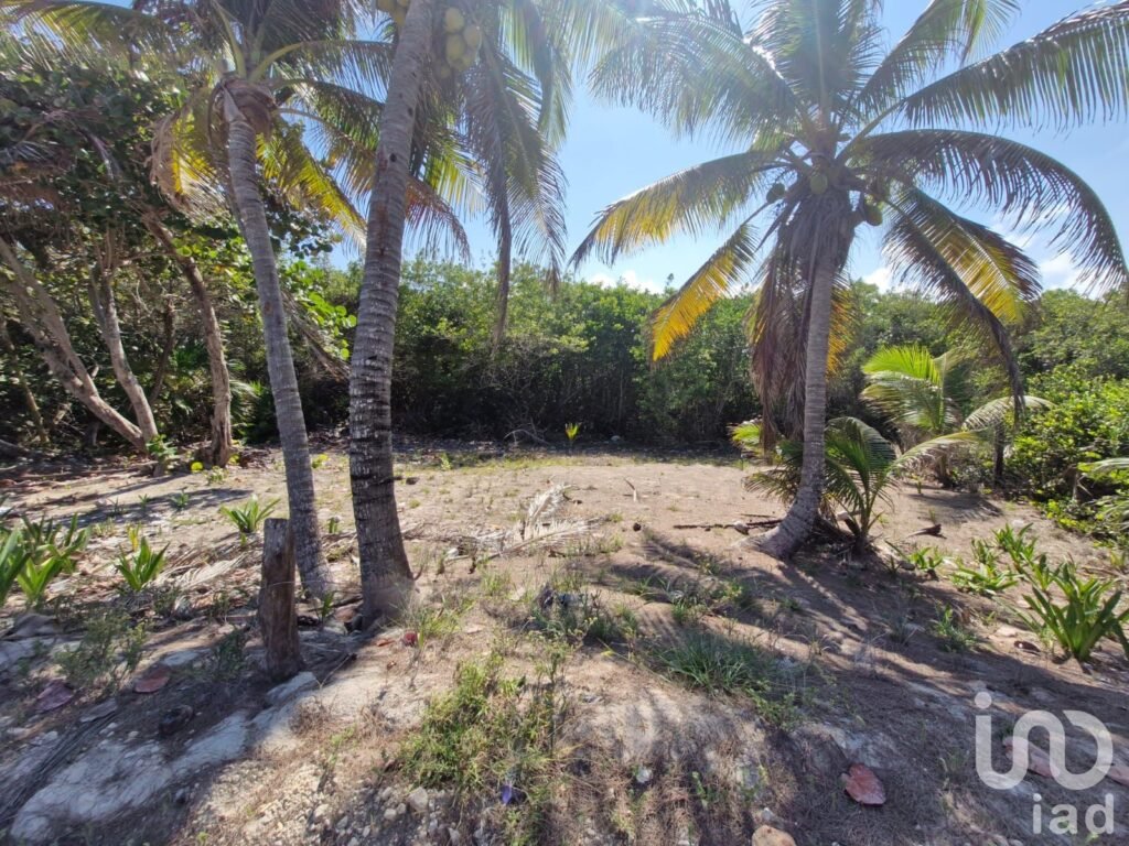 Terreno Beach Front en Venta Mahahual