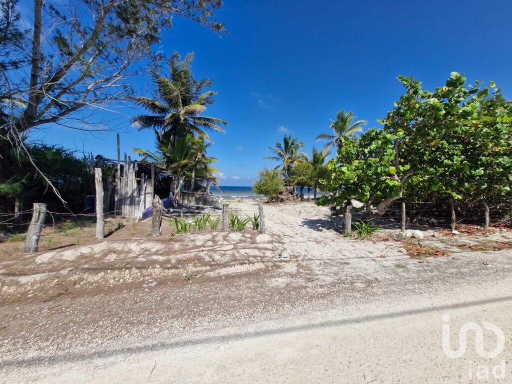 Terreno Beach Front en Venta Mahahual