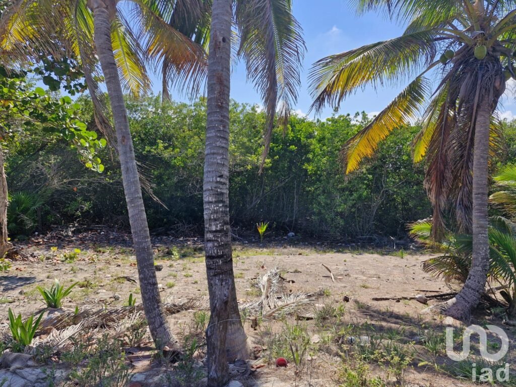 Terreno Beach Front en Venta Mahahual
