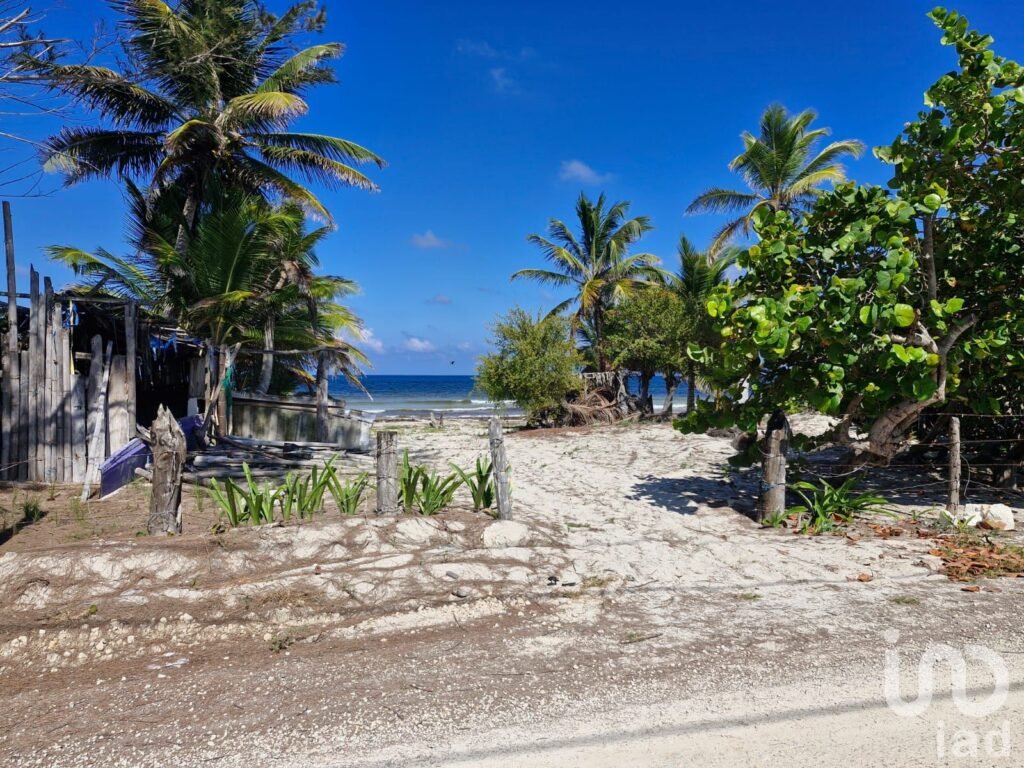 Terreno Beach Front en Venta Mahahual