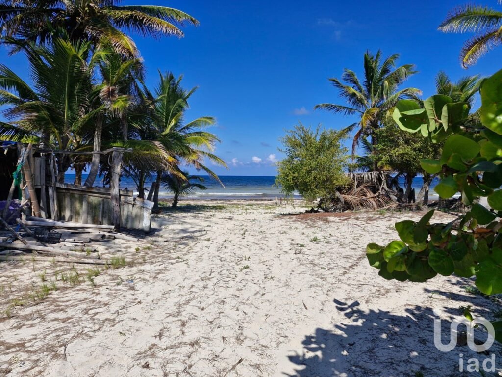 Terreno Beach Front en Venta Mahahual