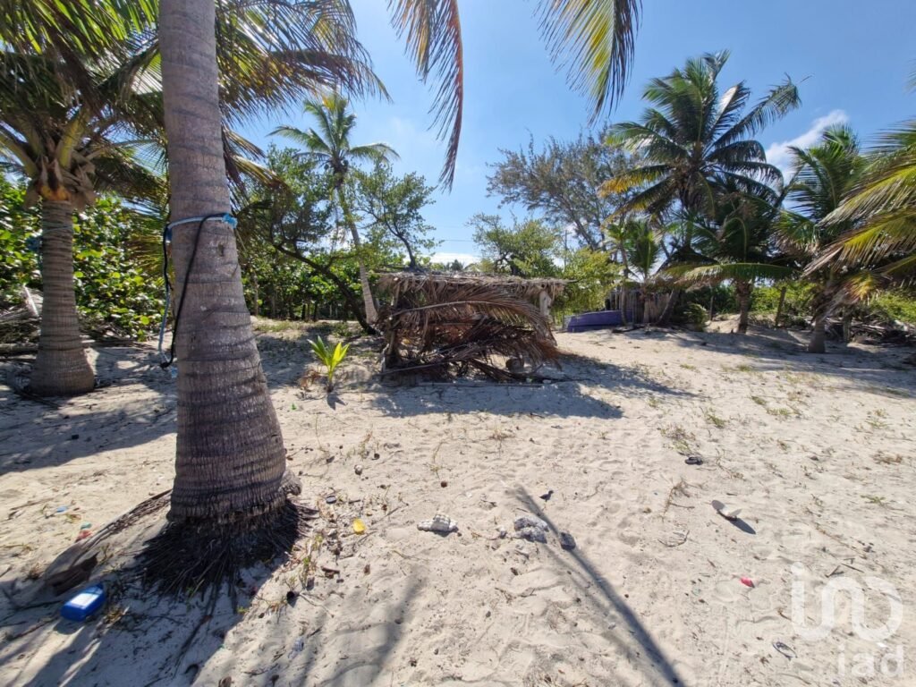 Terreno Beach Front en Venta Mahahual