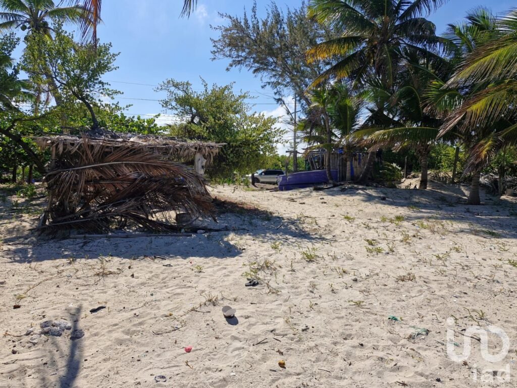 Terreno Beach Front en Venta Mahahual