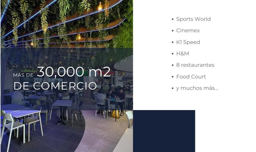 Se renta local comercial en insurgentes sur.