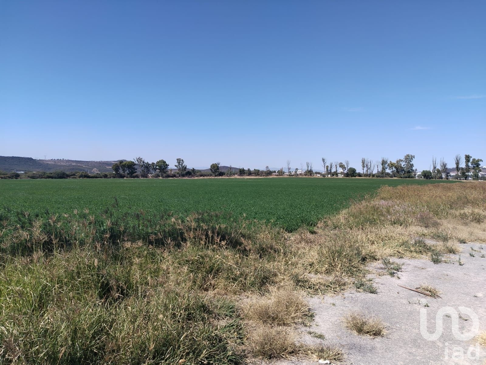 TERRENO SAN RAFAEL CORREGIDORA QUERETARO