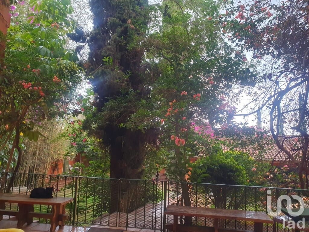 AMPLIA CASA EN RENTA EN SAN FELIPE DEL AGUA