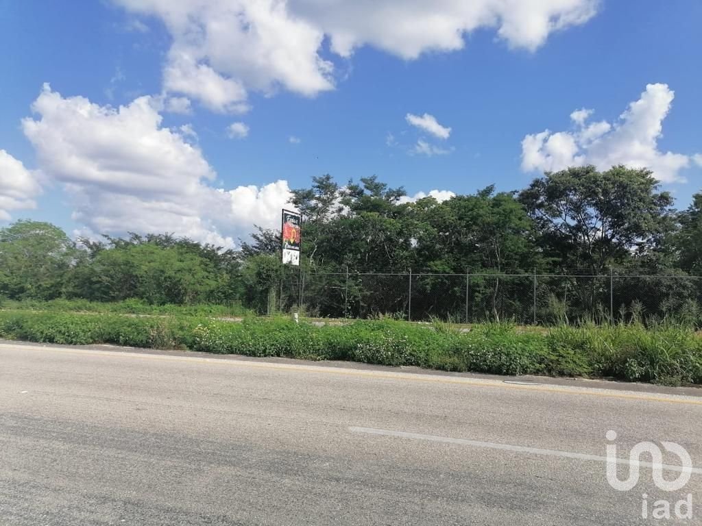 Terreno de 206 Hectareas en Riviera Maya