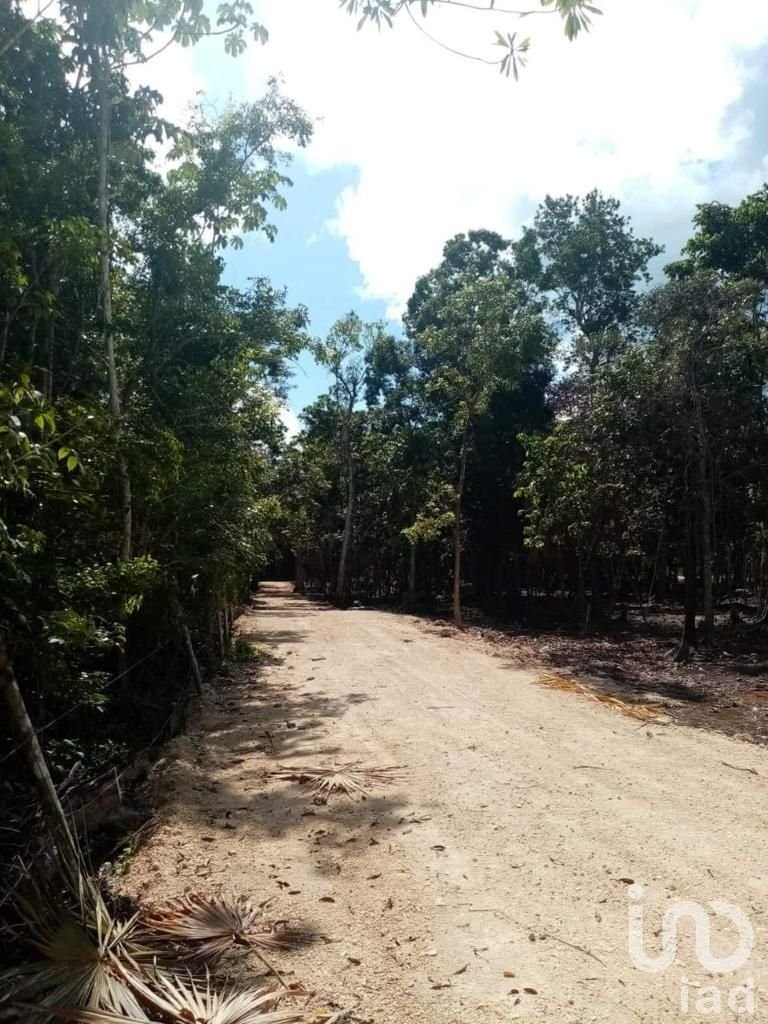 Terreno de 206 Hectareas en Riviera Maya