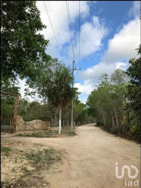 Terreno de 206 Hectareas en Riviera Maya
