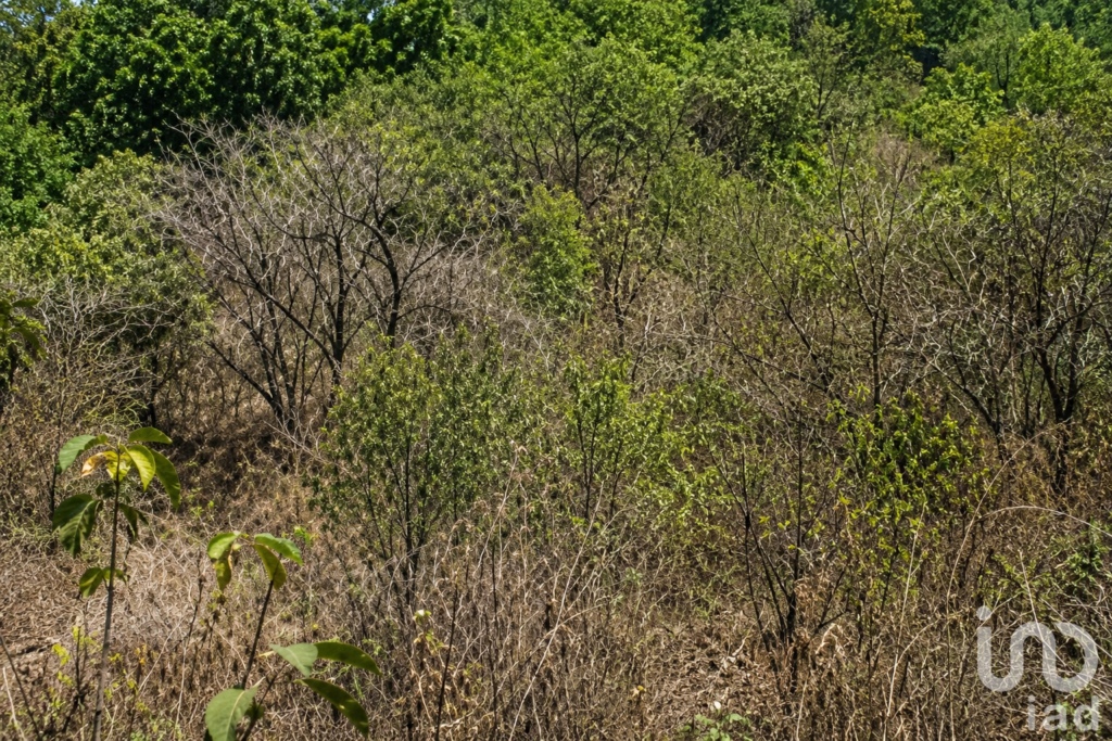 VENTA DE TERRENO EN JIQUILPAN, CUERNAVACA, MORELOS