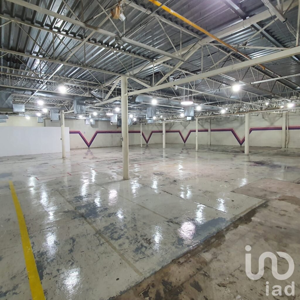 BODEGA EN RENTA EN COL ANAHUAC