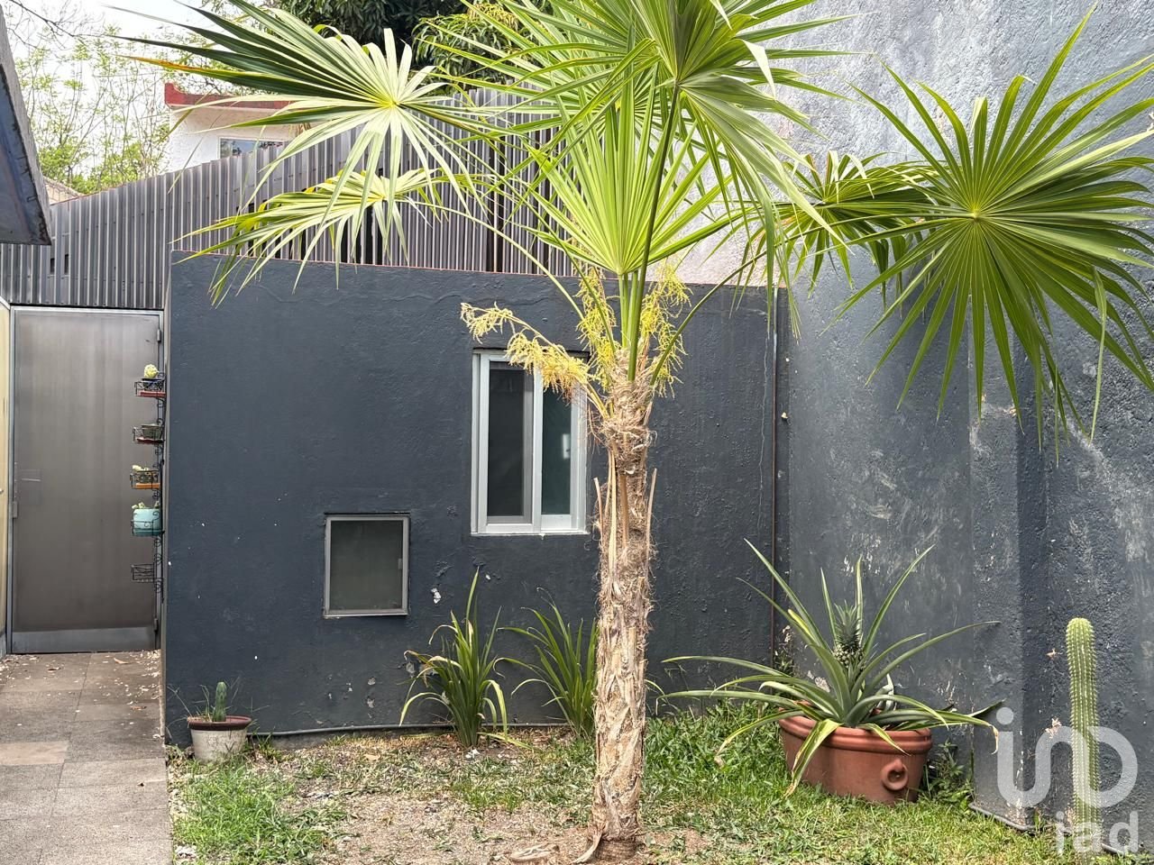 Renta de Loft Amueblado con Jardin, Carril de Nado y acepta mascotas.