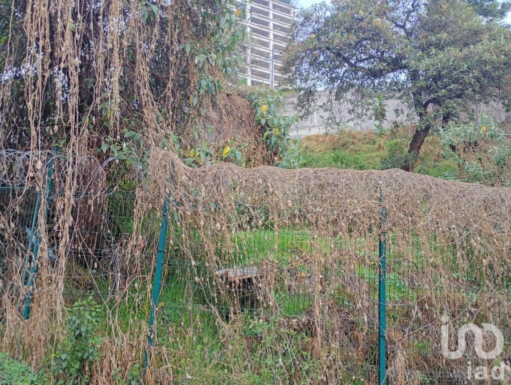 Terreno Paseo de las Lomas Alvaro Obregon cerca de Santa Fe