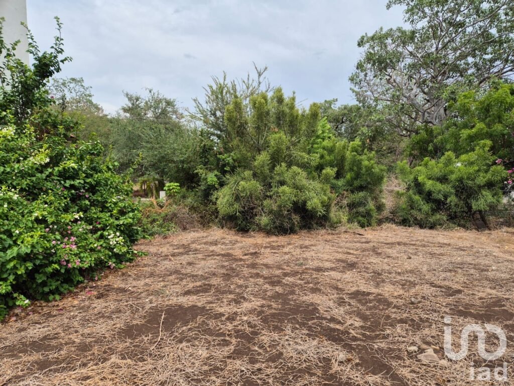 Terreno en venta en paseo Arboledas en Fraccionamiento Arboledas, Colima