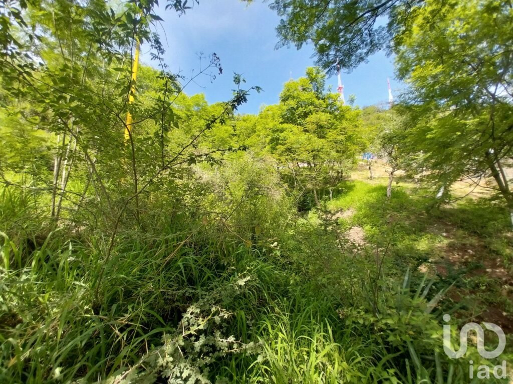 TERRENO EN VENTA EN EL CENTRO HISTÓRICO