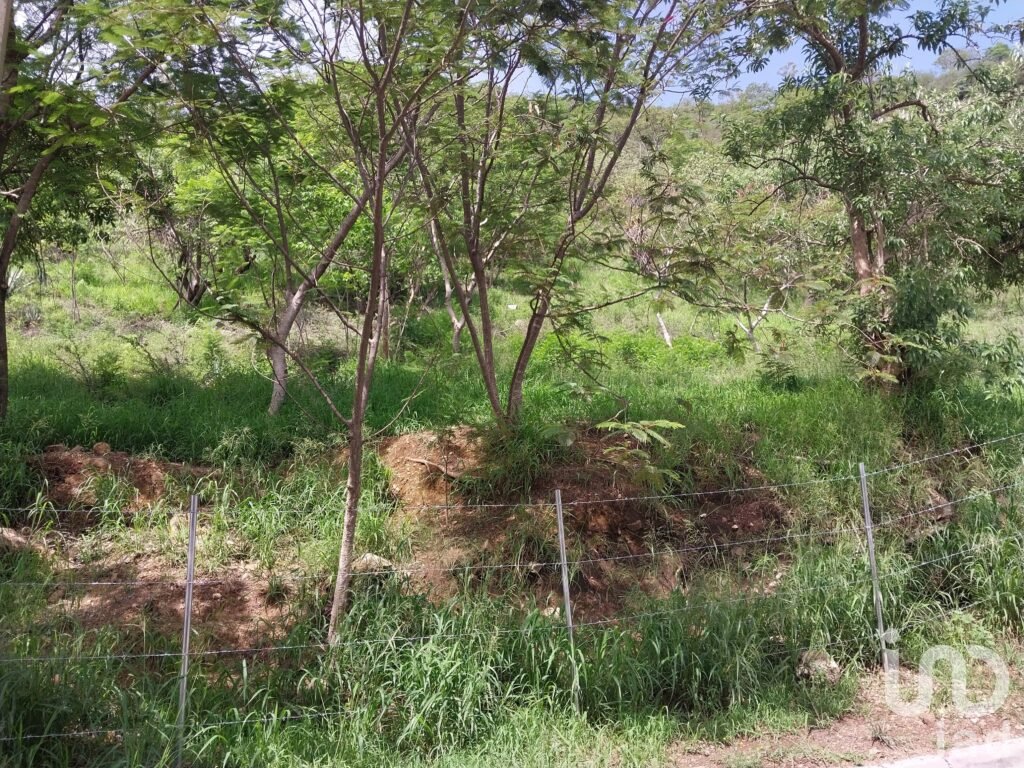 TERRENO EN VENTA EN EL CENTRO HISTÓRICO