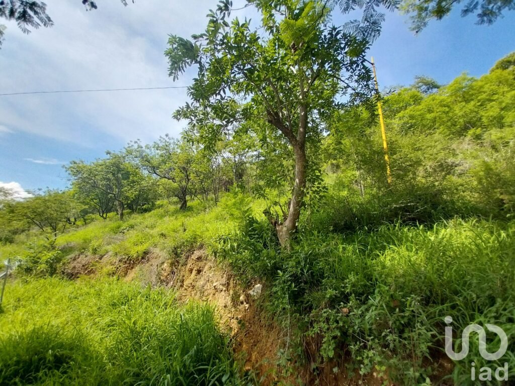 TERRENO EN VENTA EN EL CENTRO HISTÓRICO